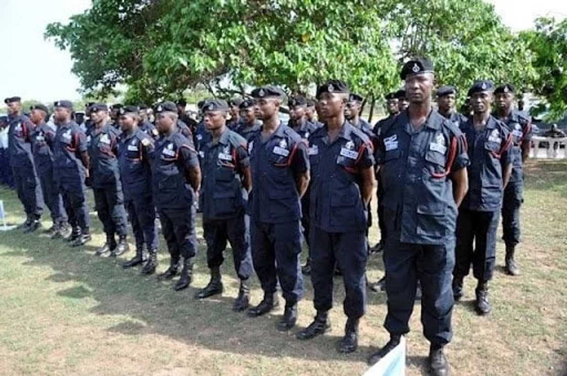 A group of policemen