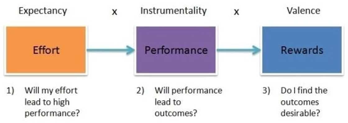 theories of motivation
compare and contrast maslow and herzberg theories of motivation
theories of motivation in psychology
theories of motivation in education theories of motivation
compare and contrast maslow and herzberg theories of motivation
theories of motivation in psychology
theories of motivation in education