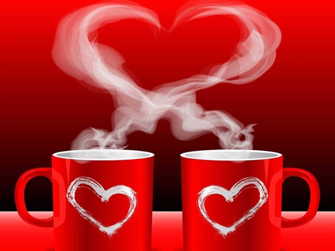 romantic love quotes
inspirational love quotes
best love quotes romantic love quotes
inspirational love quotes
best love quotes