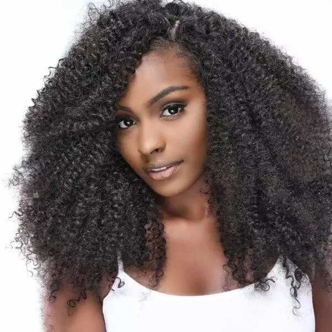 Latest rasta braids styles 2018
rasta hair styles with braids
styles with rasta braids
micro braids wedding styles
rasta braids wrap styles
micro braids updo styles
rasta braids hair styles Latest rasta braids styles 2018
rasta hair styles with braids
styles with rasta braids
micro braids wedding styles
rasta braids wrap styles
micro braids updo styles
rasta braids hair styles