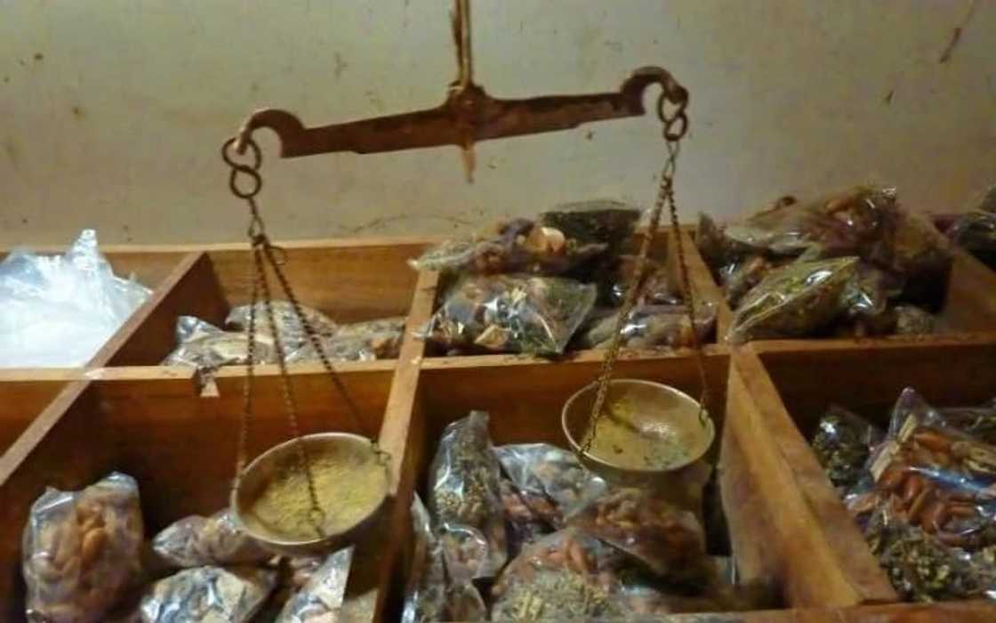 Traditional herbal medicine in ghana Traditional herbal medicine in ghana