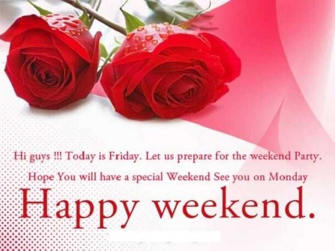 have a nice sunday, have a great long weekend, long weekend quotes have a nice sunday, have a great long weekend, long weekend quotes