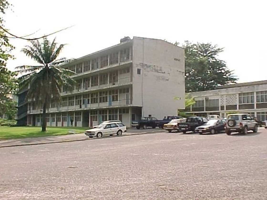 idl knust courses, knust idl application, knust idl online application, knust idl graduate programmes, knust idl undergraduate courses idl knust courses, knust idl application, knust idl online application, knust idl graduate programmes, knust idl undergraduate courses