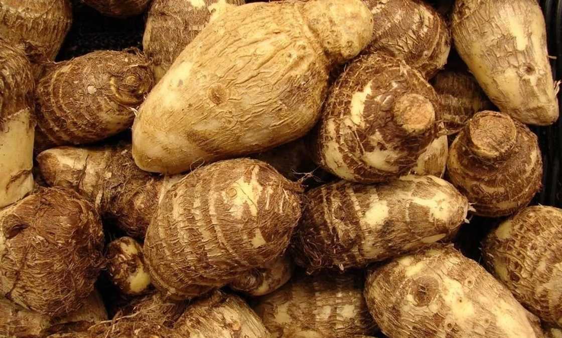 A meal of Anpokye A meal of Anpokye