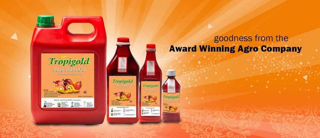 food processing companies in tema ghana
major food processing companies in ghana
names of food processing companies in ghana
agro food processing companies in ghana food processing companies in tema ghana
major food processing companies in ghana
names of food processing companies in ghana
agro food processing companies in ghana