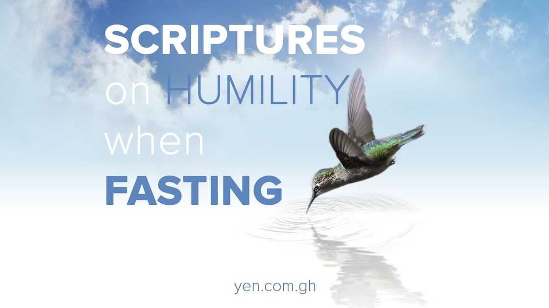 humility in the bible, humble yourself before the lord, humility scriptures