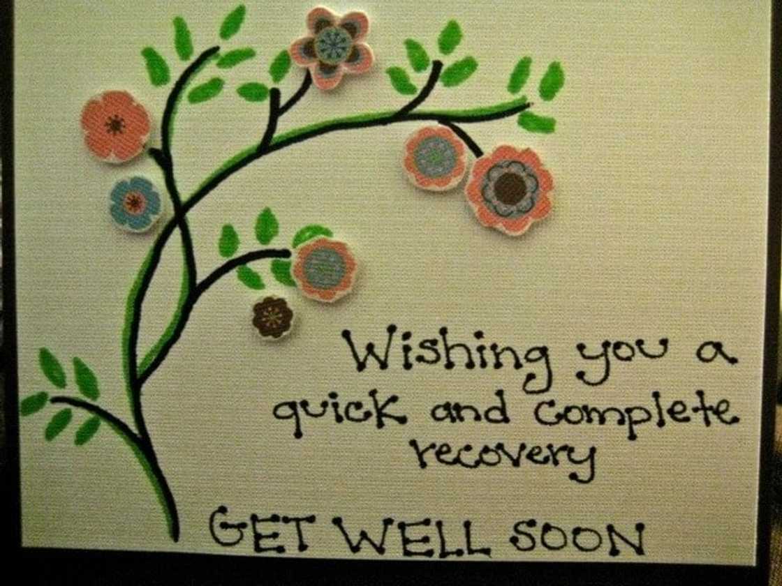 speedy recovery short messages
humorous speedy recovery messages
best wishes speedy recovery messages
speedy recovery messages images speedy recovery short messages
humorous speedy recovery messages
best wishes speedy recovery messages
speedy recovery messages images
