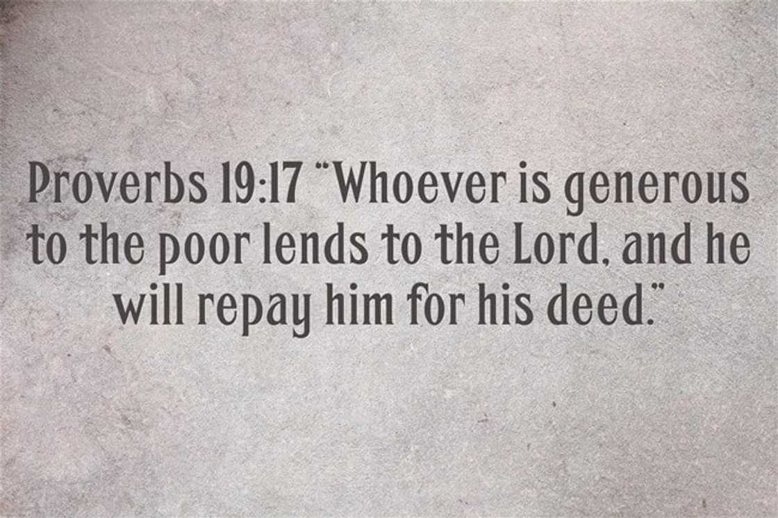 offertory scriptures
offering verses for church
what does the bible say about offerings
offering chapters in the bible offertory scriptures
offering verses for church
what does the bible say about offerings
offering chapters in the bible