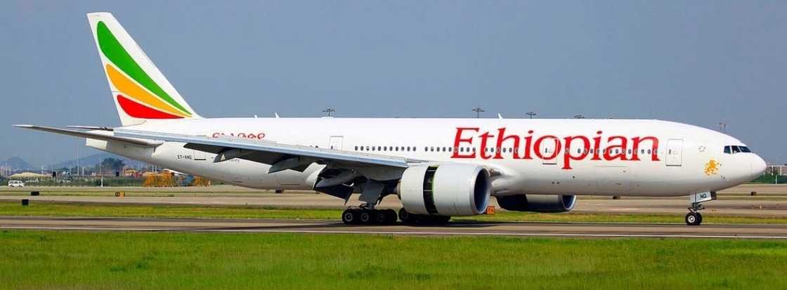 ethiopian airlines ghana airport office contact
ethiopian airlines ghana office location
ethiopian airlines ghana working hours ethiopian airlines ghana airport office contact
ethiopian airlines ghana office location
ethiopian airlines ghana working hours