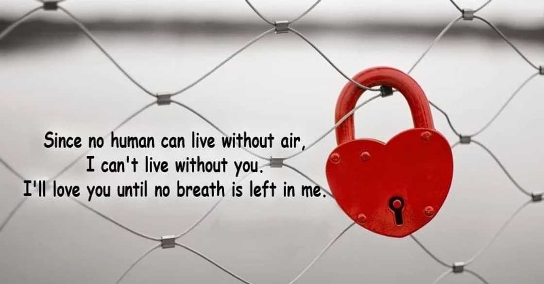 love quotes for him from the heart
what is true love
i love you quotes for him
love quotes for girlfriend love quotes for him from the heart
what is true love
i love you quotes for him
love quotes for girlfriend