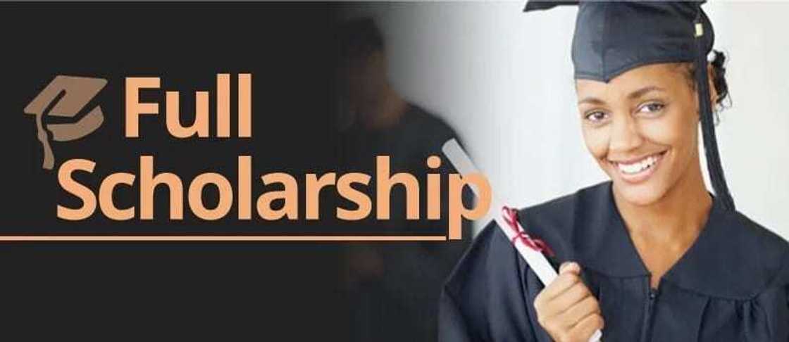 Chinese government scholarship form download Chinese government scholarship form download
