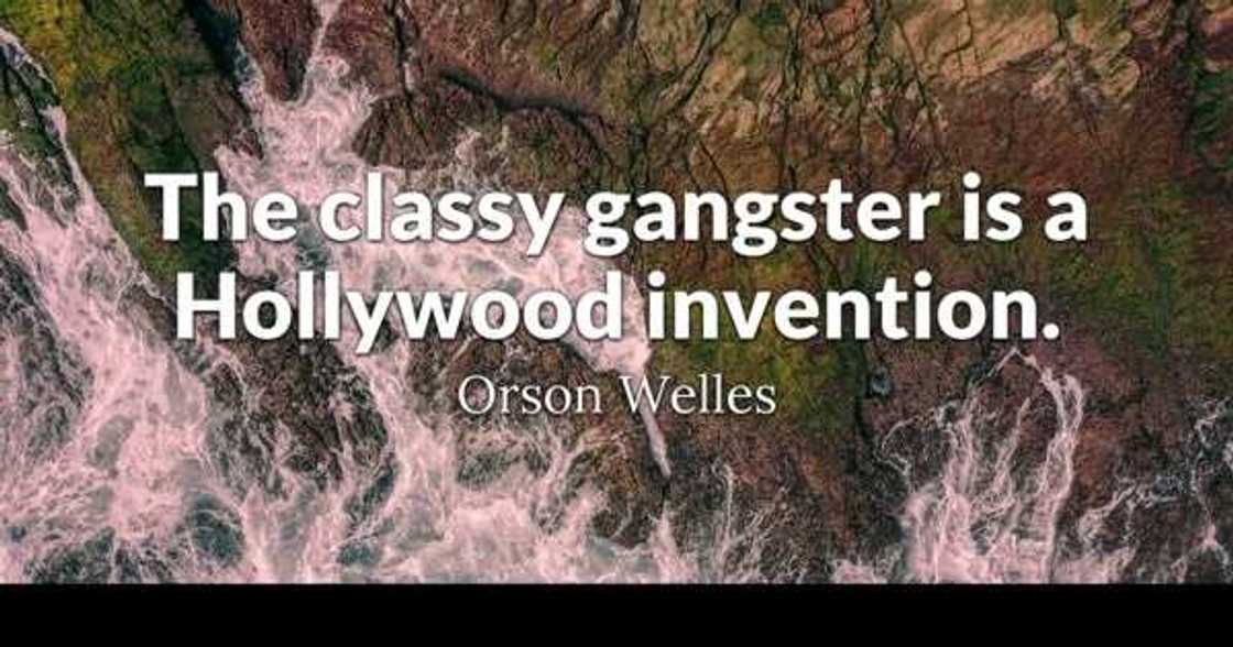 gangster quotes about haters
gangster quotes about respect
real gangsta quotes
best gangsta quotes gangster quotes about haters
gangster quotes about respect
real gangsta quotes
best gangsta quotes