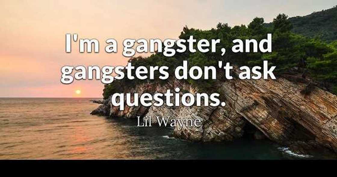 gangster quotes about haters
gangster quotes about respect
real gangsta quotes
best gangsta quotes gangster quotes about haters
gangster quotes about respect
real gangsta quotes
best gangsta quotes