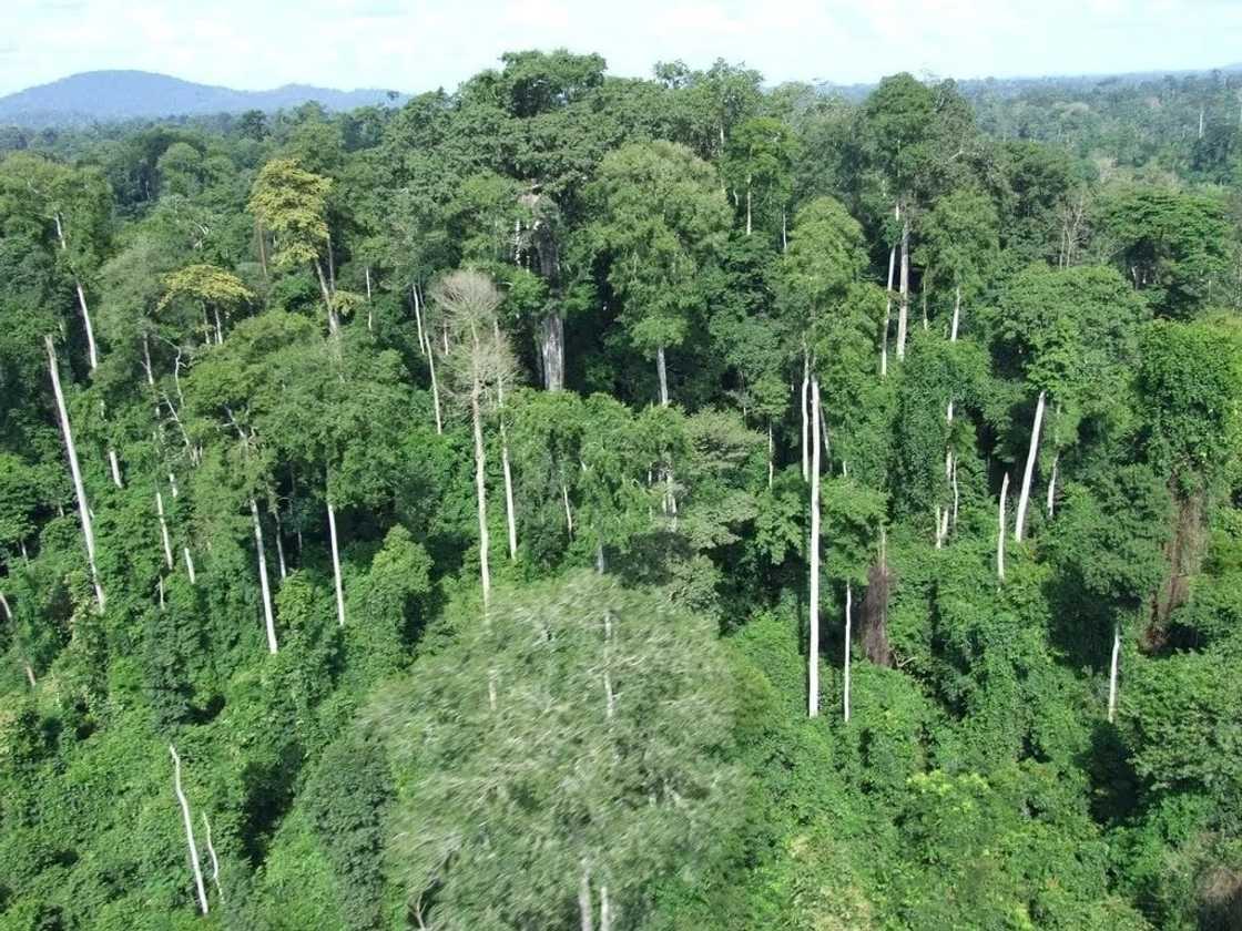 ges syllabus
ghana education service biology syllabus
ghana education service technical examination unit syllabus ges syllabus
ghana education service biology syllabus
ghana education service technical examination unit syllabus