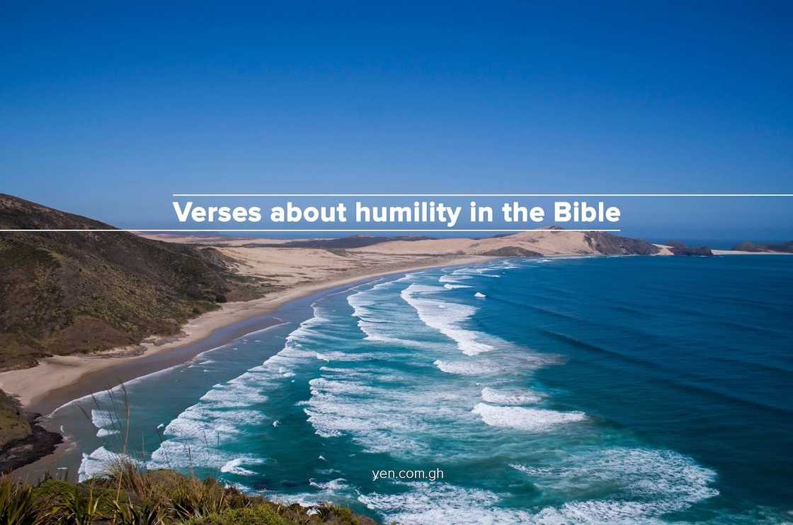 humility in the bible, humble yourself before the lord, humility scriptures