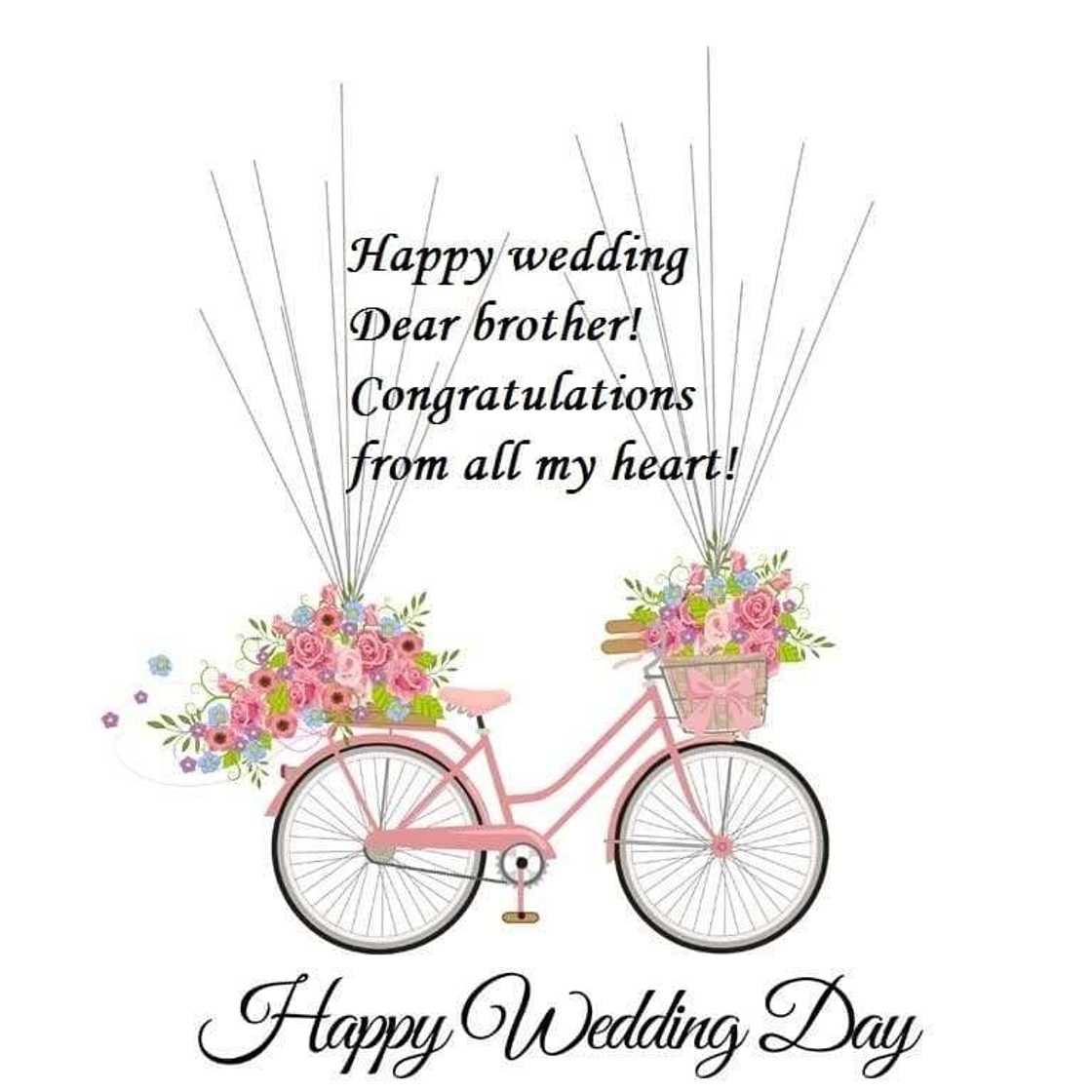 reply on marriage wishes, example of marriage wishes, happy marriage wishes reply on marriage wishes, example of marriage wishes, happy marriage wishes