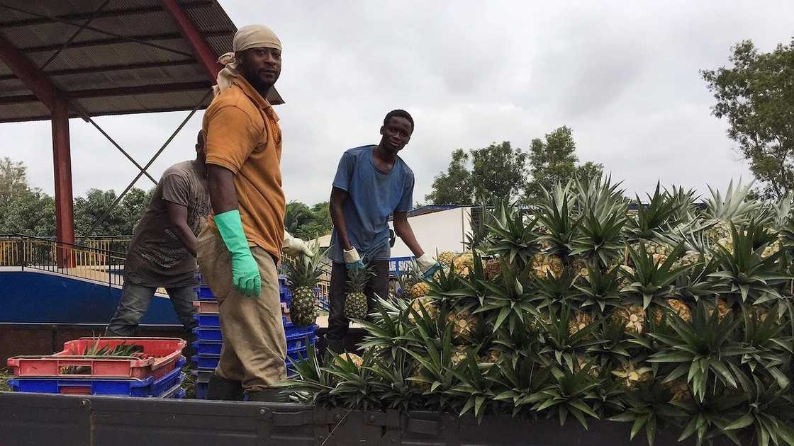 what is importance of entrepreneurship to the economy
the importance of entrepreneurship in small businesses
importance of entrepreneurship skills in any business what is importance of entrepreneurship to the economy
the importance of entrepreneurship in small businesses
importance of entrepreneurship skills in any business