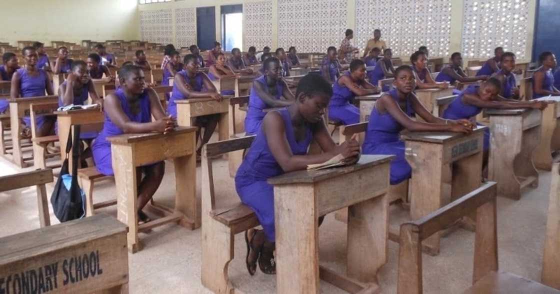 ghana education service syllabus for jhs
ges syllabus for primary
ghana education service biology syllabus ghana education service syllabus for jhs
ges syllabus for primary
ghana education service biology syllabus