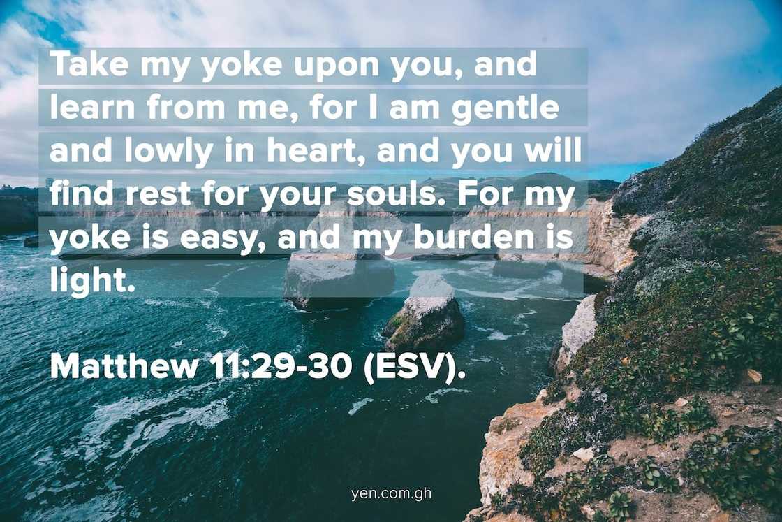 humility in the bible, humble yourself before the lord, humility scriptures humility in the bible, humble yourself before the lord, humility scriptures