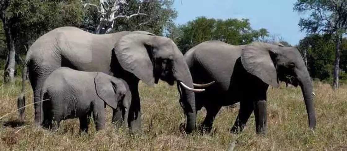 10 best tourist sites in Ghana you should visit at least once in your life 10 best tourist sites in Ghana you should visit at least once in your life