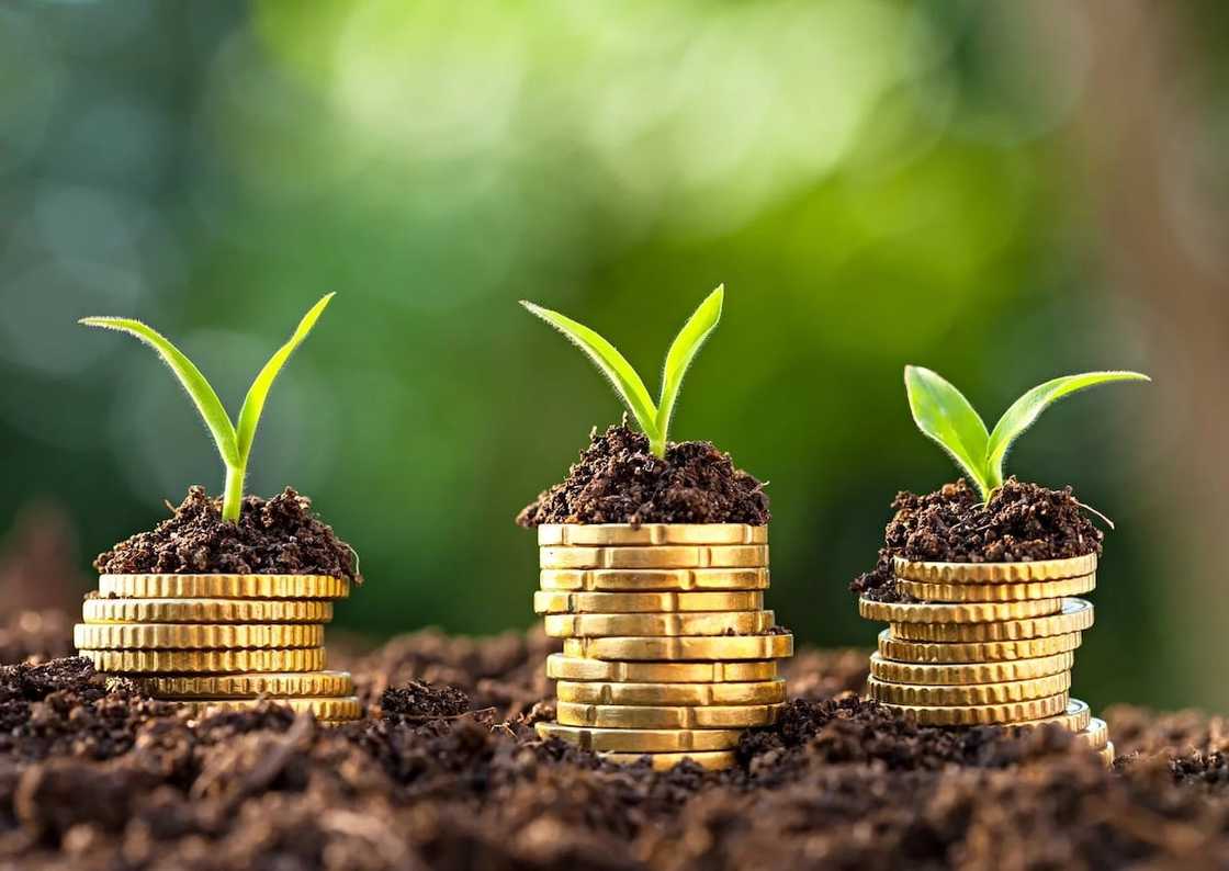 Best investment opportunities in Ghana 2019