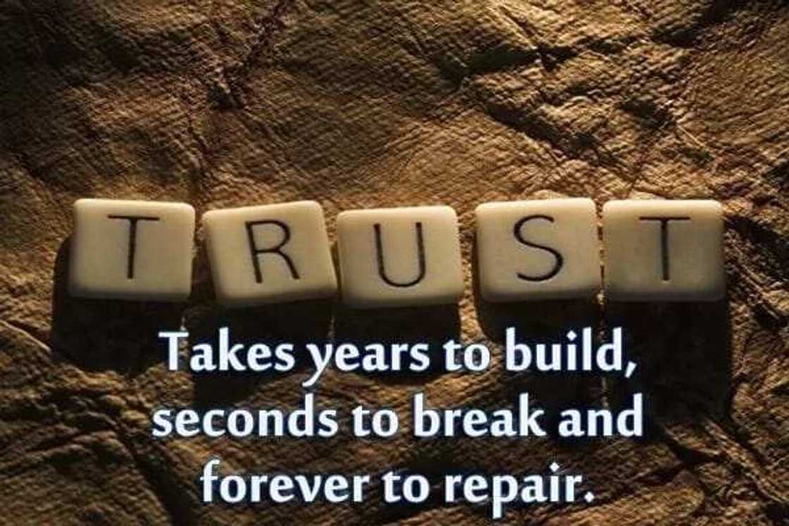 Trust and faith quotes