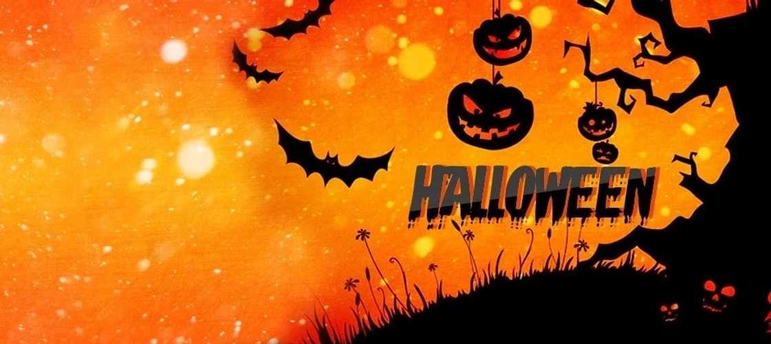 what does halloween mean in the bible
true meaning of halloween pagan
halloween meaning in english
halloween day what does halloween mean in the bible
true meaning of halloween pagan
halloween meaning in english
halloween day