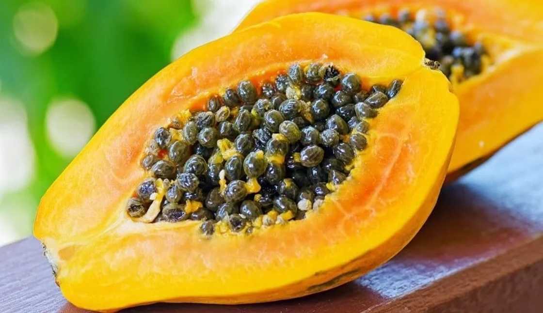 Papaya