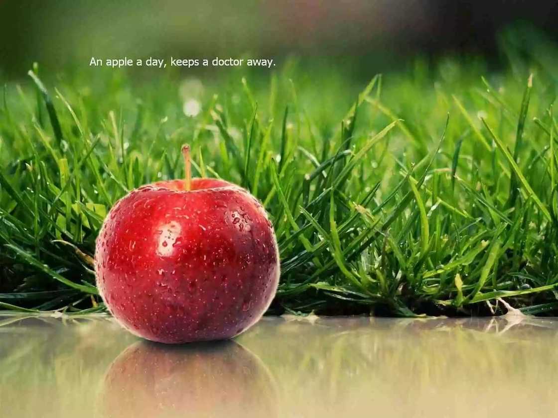 proverbs about long life
nigerian proverbs about life
proverbs about good health
unique proverbs about life proverbs about long life
nigerian proverbs about life
proverbs about good health
unique proverbs about life