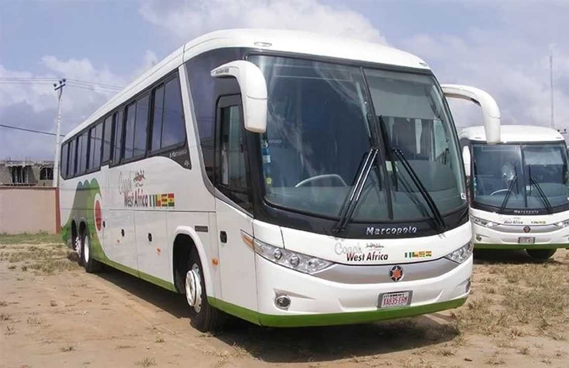 ABC transport Ghana contact
ABC transport online booking
ABC transport contact number in Ghana
ABC transport Accra
Accra to Lagos bus ABC transport Ghana contact
ABC transport online booking
ABC transport contact number in Ghana
ABC transport Accra
Accra to Lagos bus