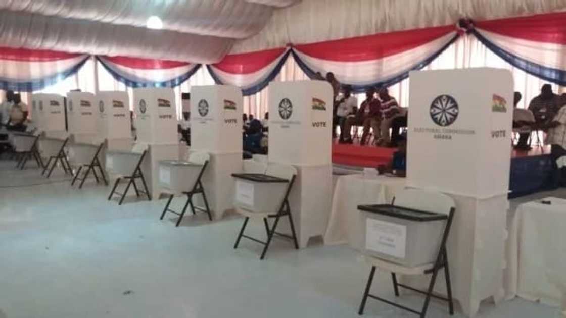 NPP regional elections underway NPP regional elections underway