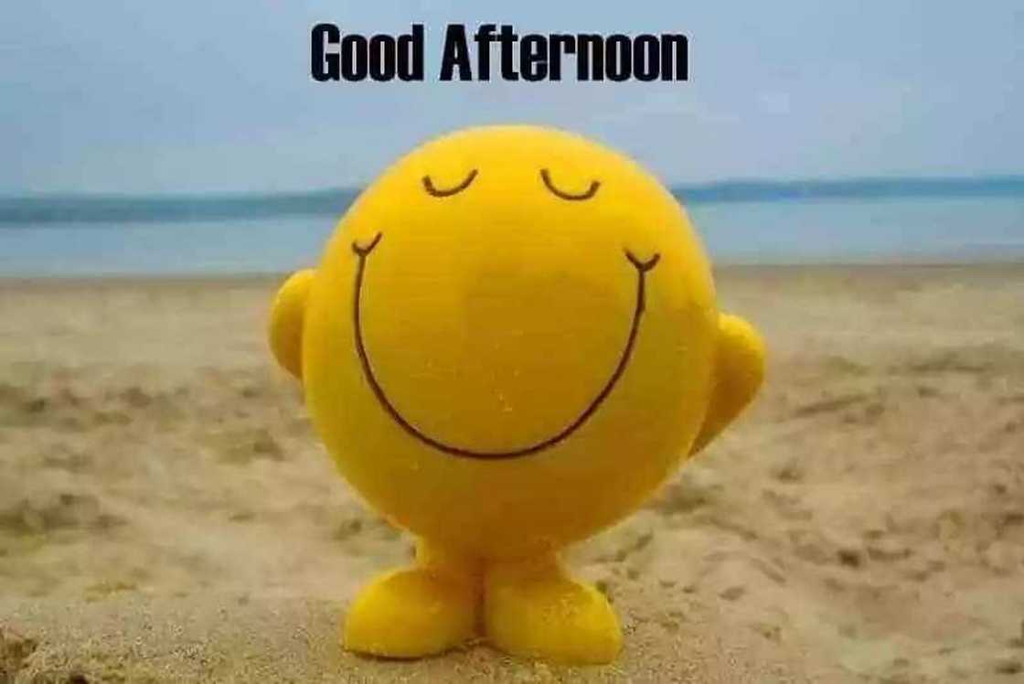 good afternoon quotes
good afternoon quotes for him
sweet good afternoon messages
afternoon quotes good afternoon quotes
good afternoon quotes for him
sweet good afternoon messages
afternoon quotes