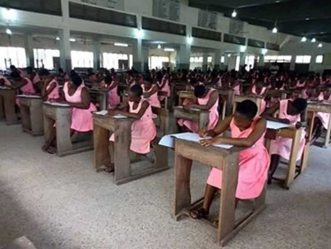 A group of students seated