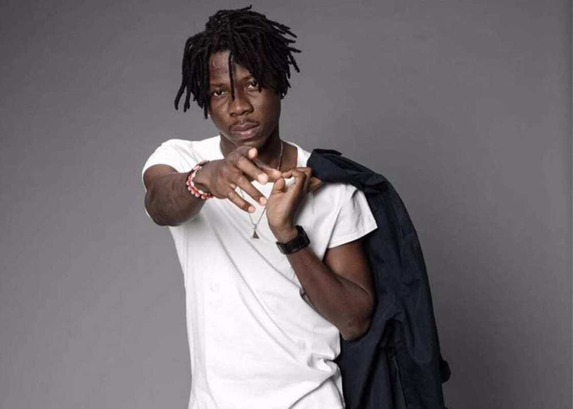 Stonebwoy Twin Brother: Does He Exist