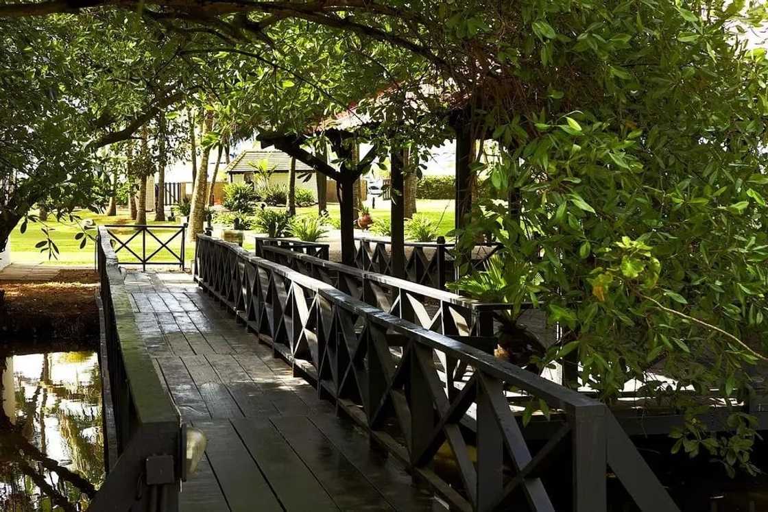 labadi beach hotel booking
labadi beach hotel accra ghana website
labadi beach hotel instagram labadi beach hotel booking
labadi beach hotel accra ghana website
labadi beach hotel instagram