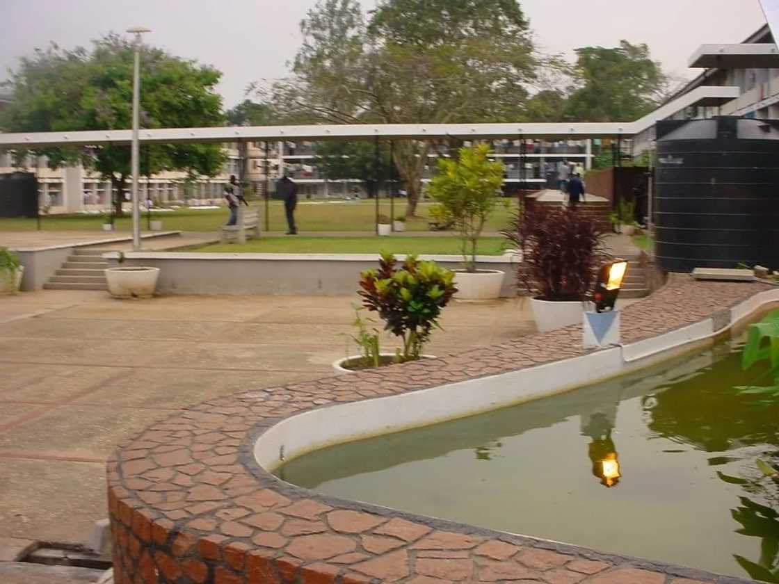 Knust distance learning courses in Ghana Knust distance learning courses in Ghana