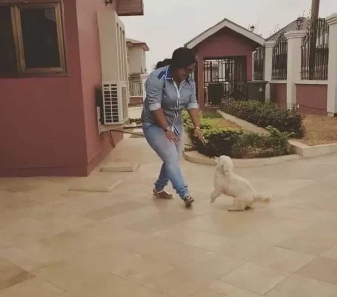 Here are photos of the luxurious houses of some Ghanaian female celebrities Here are photos of the luxurious houses of some Ghanaian female celebrities