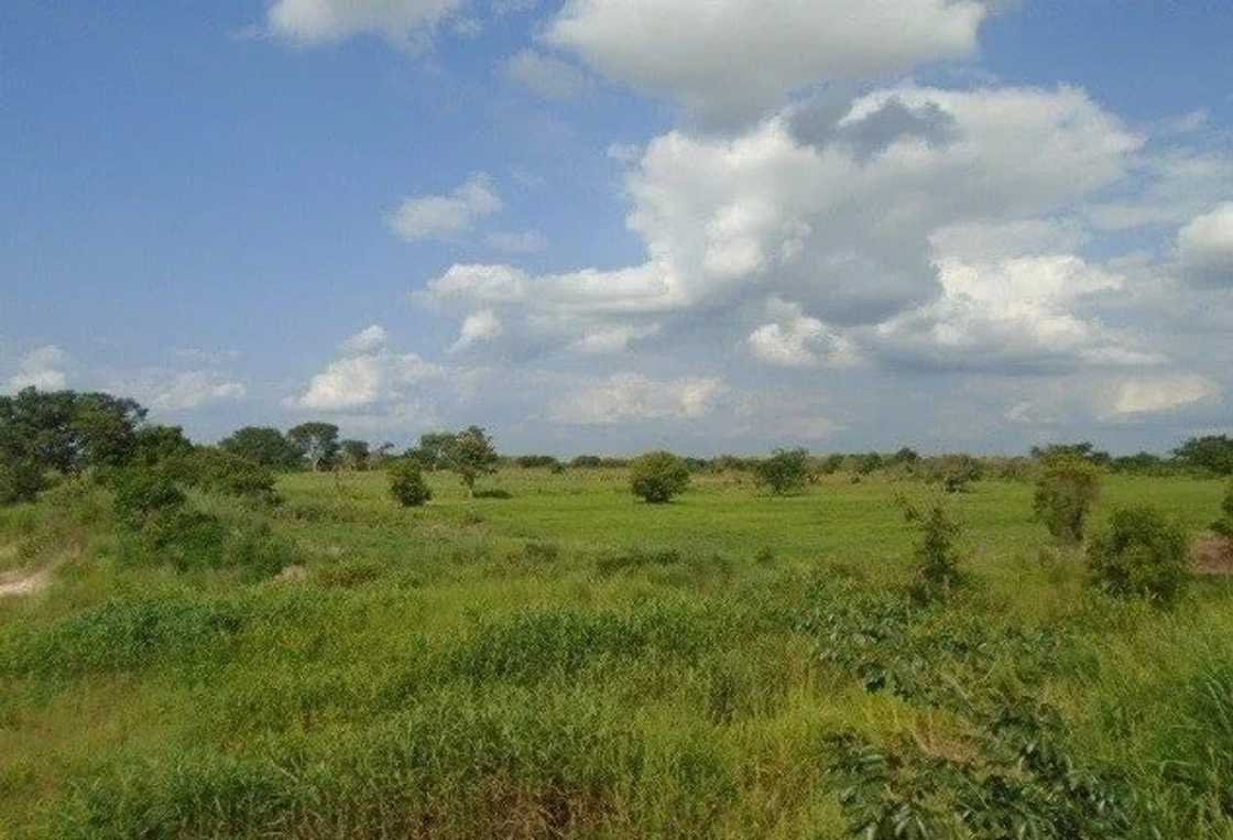 Districts in Brong Ahafo Region and Their Capitals