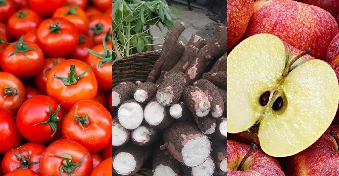 Poisonous Ghanaian foodss Poisonous Ghanaian foodss