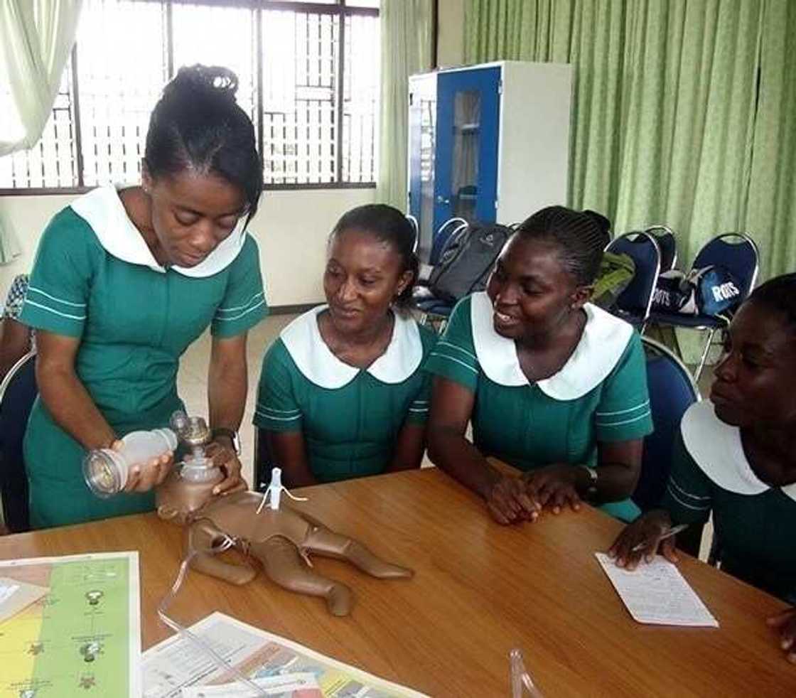 37 Nursing School
37 Military Nursing training forms
Military nursing school programs
What grade can i get admission at 37 Military Nursing Training, Accra
37 nursing training 37 Nursing School
37 Military Nursing training forms
Military nursing school programs
What grade can i get admission at 37 Military Nursing Training, Accra
37 nursing training