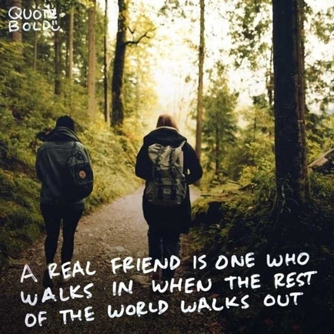 Top 50 honest best friend quotes
friendship quotes
friendship quote
what is friendship
quotes about friends
who is a friend
friendship quotes for her
best friendship quotes
quote on friendship
quote about friendship
friendship images