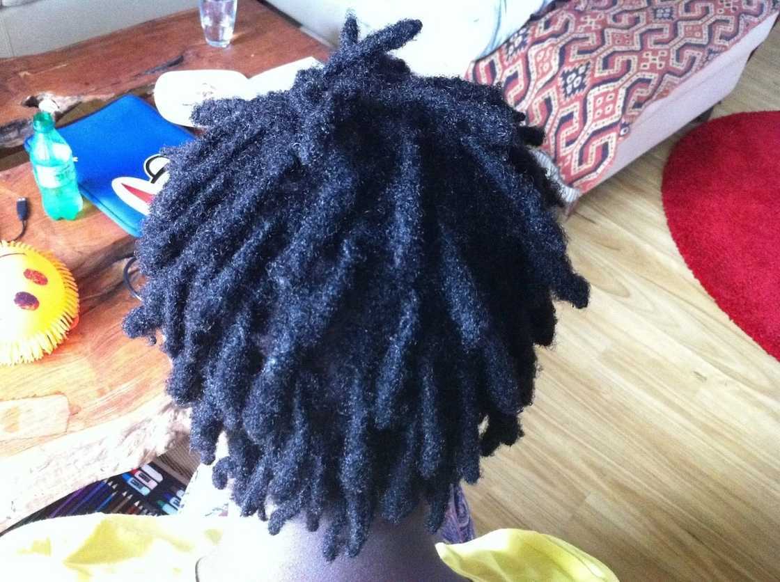 Best dreadlocks styles for short Hair