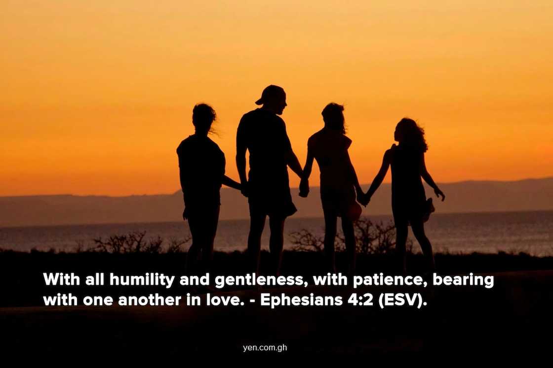 humility in the bible, humble yourself before the lord, humility scriptures