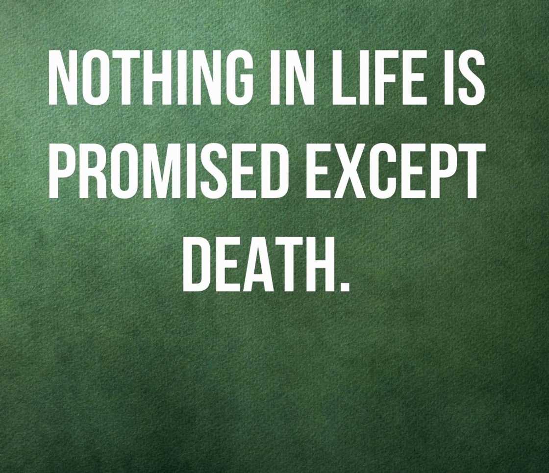 life and death quotes
quotes about death
quotes on death life and death quotes
quotes about death
quotes on death