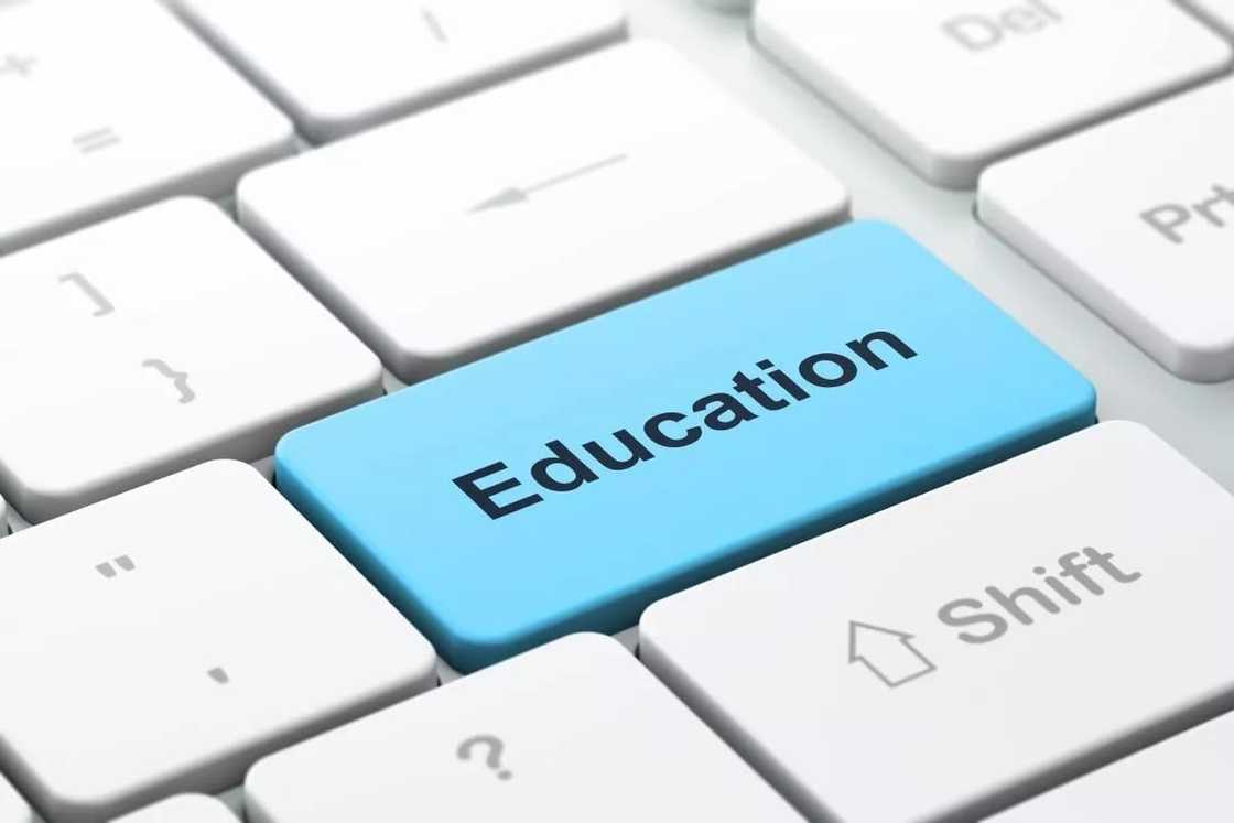 education and its importance, 10 reasons why education is so important, facts about why education is important