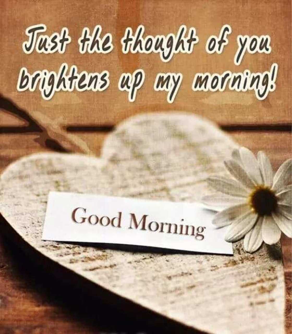 Sweet good morning messages for him 2019 Sweet good morning messages for him 2019