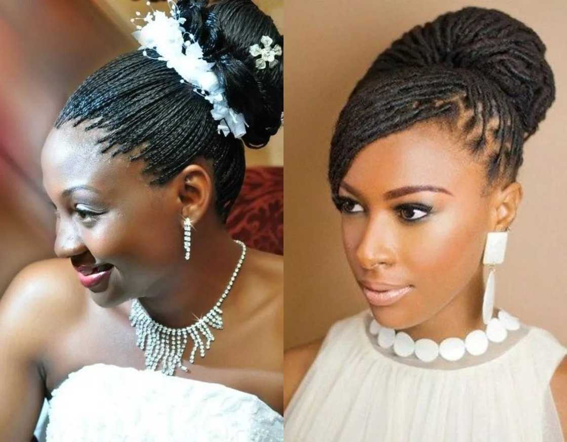 styles of rasta braids
micro braids short styles
rasta hair styles with braids styles of rasta braids
micro braids short styles
rasta hair styles with braids