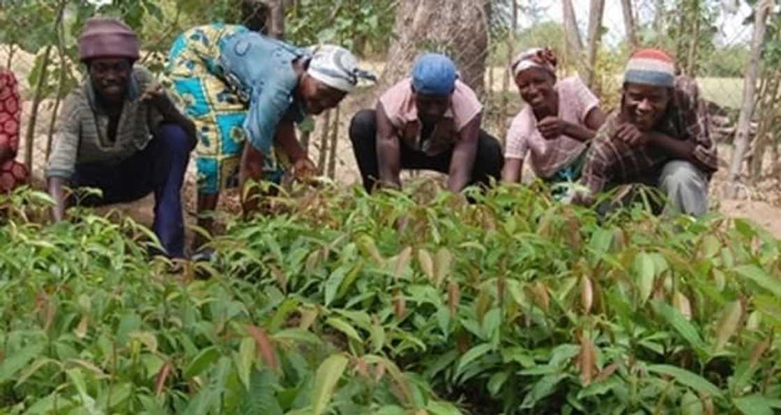 ghana climate change policy
evidence of climate change in ghana
climate change issues in ghana ghana climate change policy
evidence of climate change in ghana
climate change issues in ghana