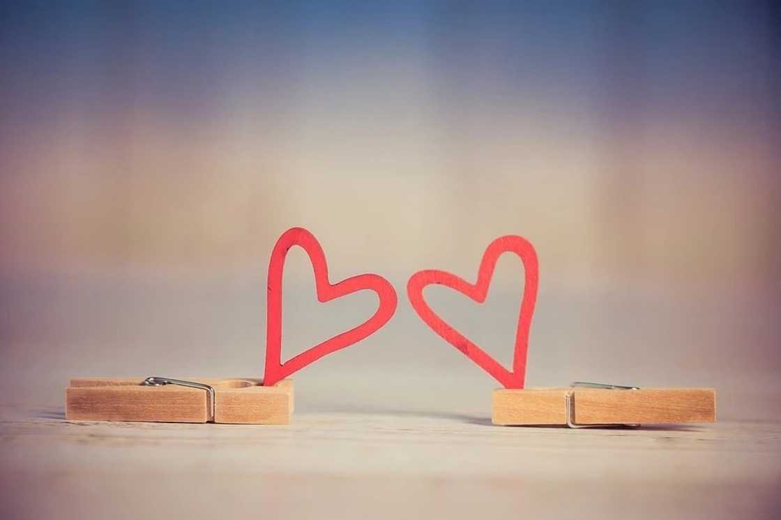 lovely messages for her, love messages for girlfriend, loving you message for her lovely messages for her, love messages for girlfriend, loving you message for her