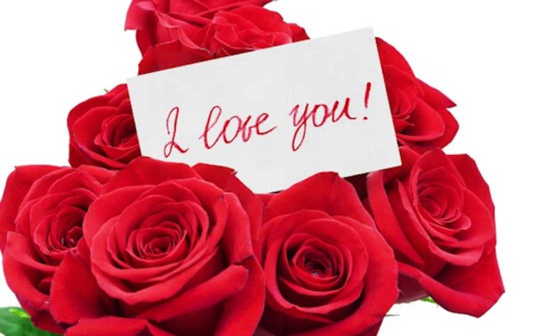 romantic messages for boyfriend
love messages for him from the heart
cute i miss you quotes
miss you so much quotes
cute missing you quotes
ways to say i miss you romantic messages for boyfriend
love messages for him from the heart
cute i miss you quotes
miss you so much quotes
cute missing you quotes
ways to say i miss you